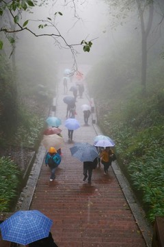 雨霧齊云山游人