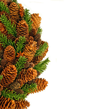 Pinecone廣場