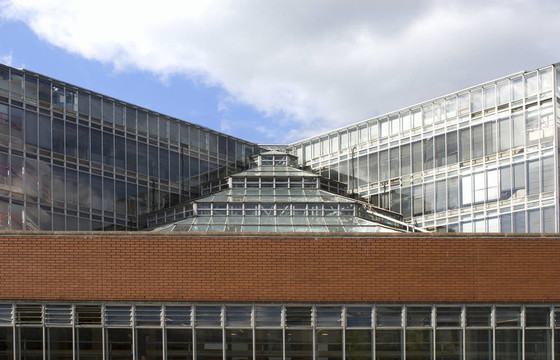劍橋大學歷史學院