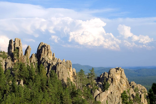 針的風(fēng)景