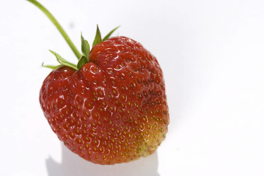 一個(gè)孤立的草莓白色