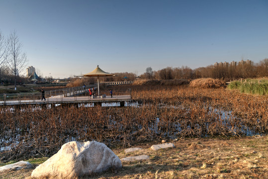 西安灞河濕地公園