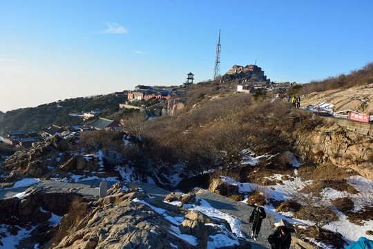 泰山
