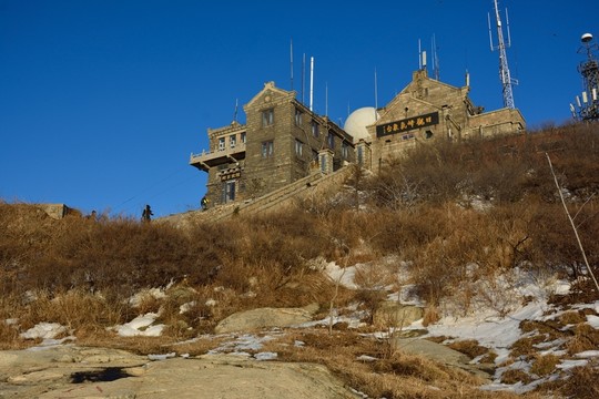 泰山