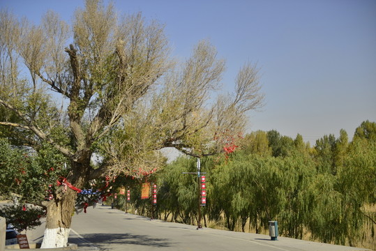 嘉峪關(guān)