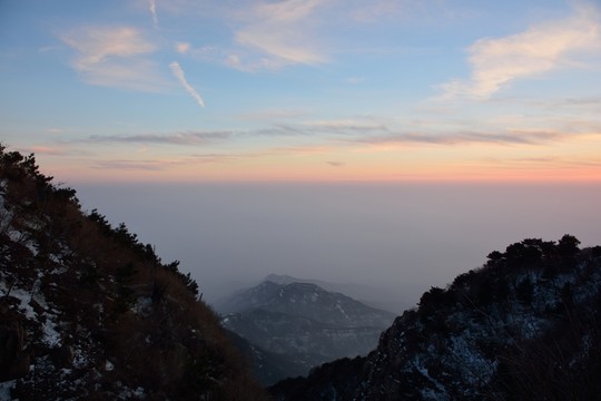 泰山