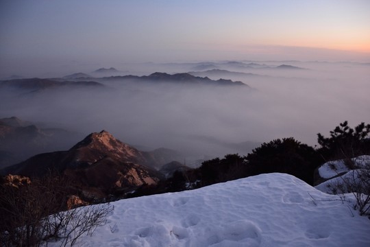 泰山