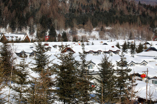 林海雪原 雪鄉(xiāng) 山 松樹 松林