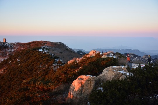 泰山