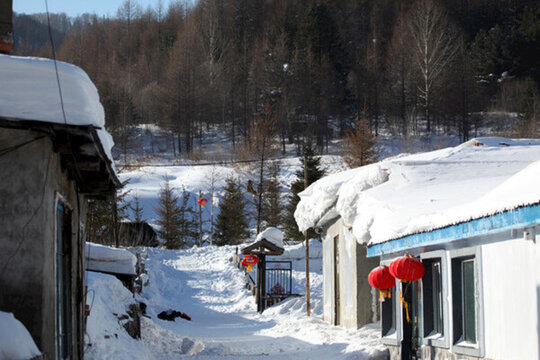 雪鄉(xiāng) 雙峰林場(chǎng) 中國(guó)雪鄉(xiāng) 雪景
