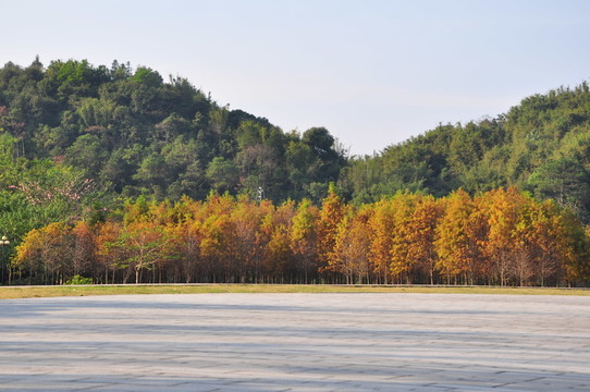 秋景
