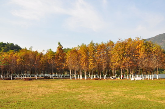 秋景
