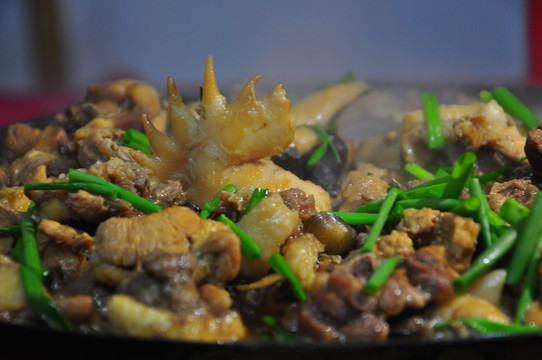 燜土雞肉