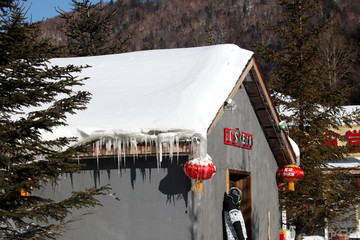 雪鄉(xiāng) 雙峰林場 春節(jié) 紅燈 燈