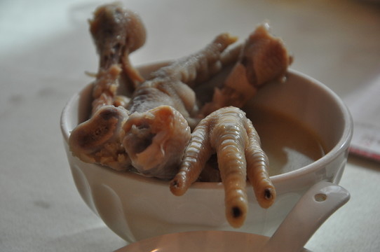 藥膳雞腳