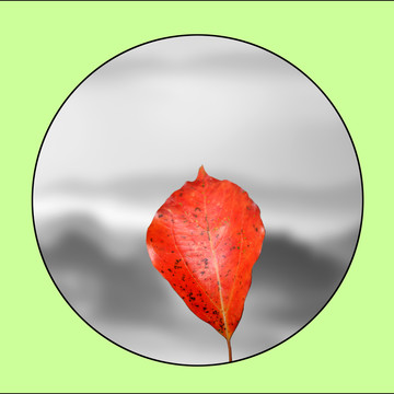 紅葉裝飾畫