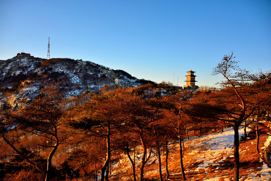 泰山