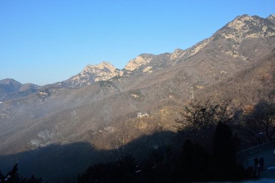 泰山