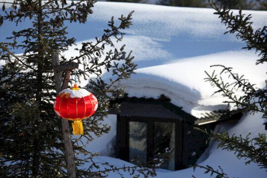 雪鄉(xiāng) 雙峰林場 春節(jié) 紅燈 燈