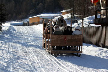 雪鄉(xiāng) 雙峰林場(chǎng) 中國(guó)雪鄉(xiāng) 雪景