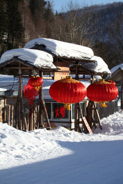 雪鄉(xiāng) 雙峰林場(chǎng) 春節(jié) 紅燈