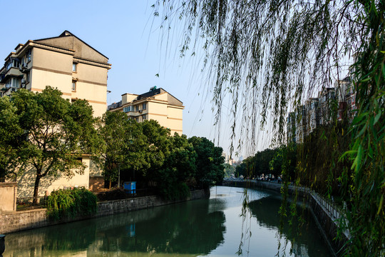 河道 城市 城市景觀 城市河