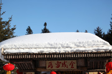 雪鄉(xiāng) 雙峰林場 春節(jié) 紅燈 燈