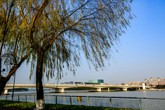 城市綠化