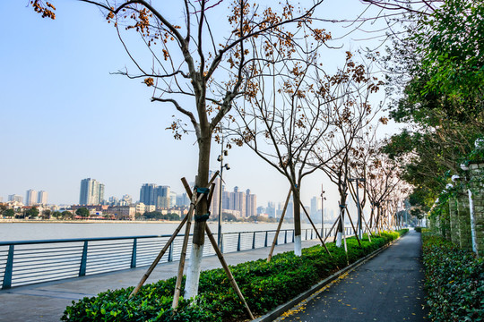 城市綠化