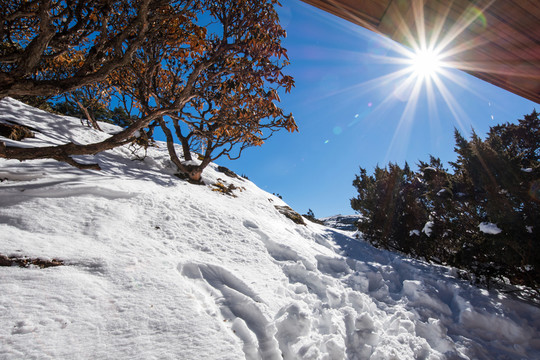 雪地木屋風(fēng)光