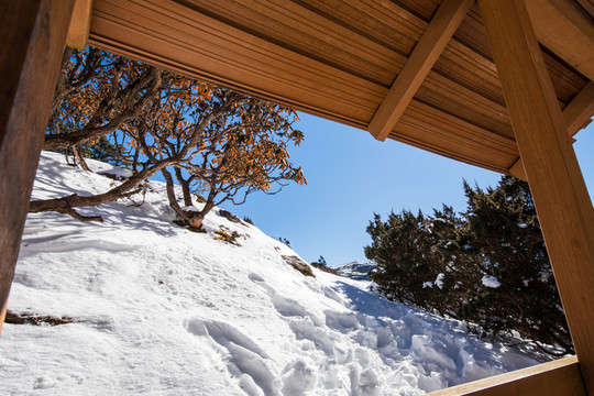 雪地木屋風光
