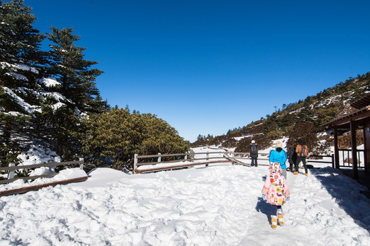 轎子雪山風(fēng)光