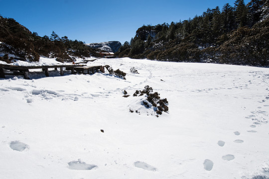 雪原上的足跡