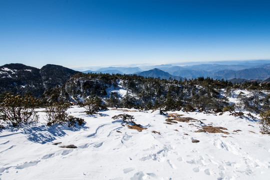 轎子雪山風(fēng)光