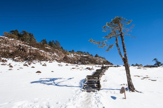 轎子雪山風(fēng)光