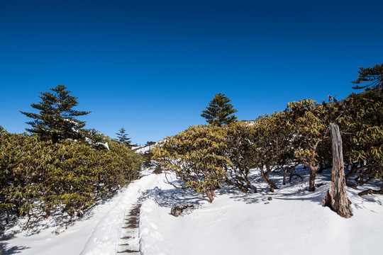 轎子雪山風(fēng)光