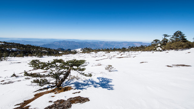轎子雪山風光