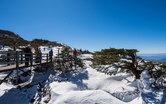轎子雪山精怪塘風(fēng)光
