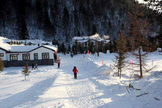 雪鄉(xiāng) 雙峰林場(chǎng) 中國(guó)雪鄉(xiāng) 雪景