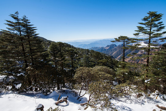 轎子雪山風(fēng)光