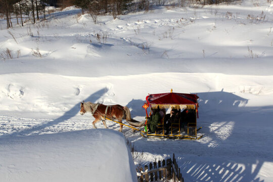 中國(guó)雪鄉(xiāng) 馬拉雪橇