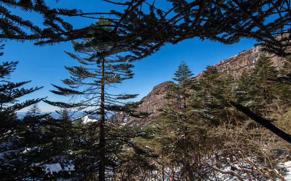 轎子雪山風光