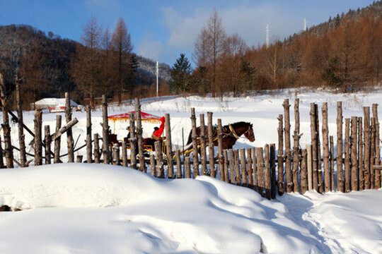 中國(guó)雪鄉(xiāng) 馬拉雪橇