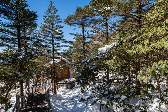 林海雪原中的木屋
