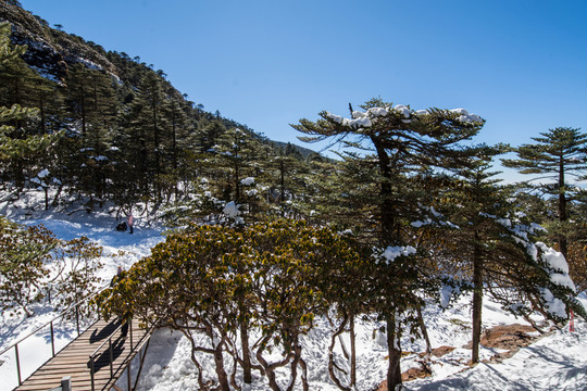 花溪棧橋冬季景觀