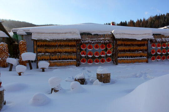 雪鄉(xiāng) 雙峰林場 中國雪鄉(xiāng) 雪景
