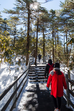 走在林海雪地棧道紅衣少女