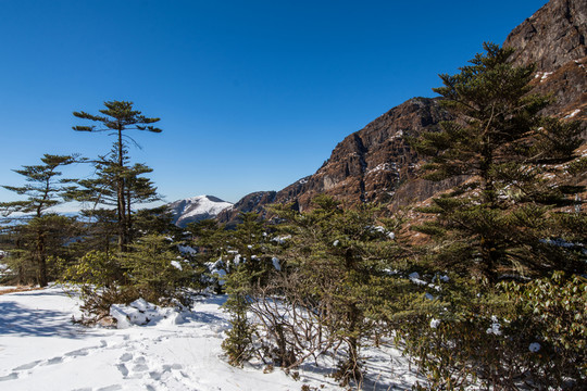 雪山遠眺
