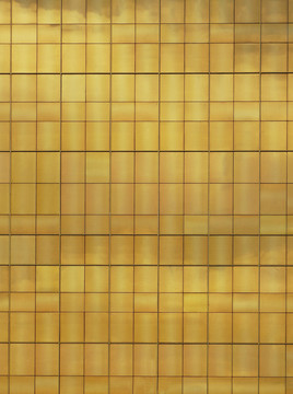 金色網(wǎng)格外墻