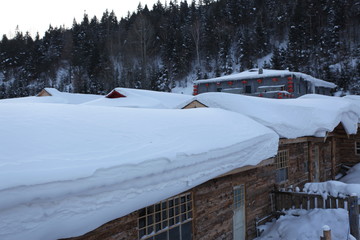 雙峰林場(chǎng) 中國(guó)雪鄉(xiāng) 雪景